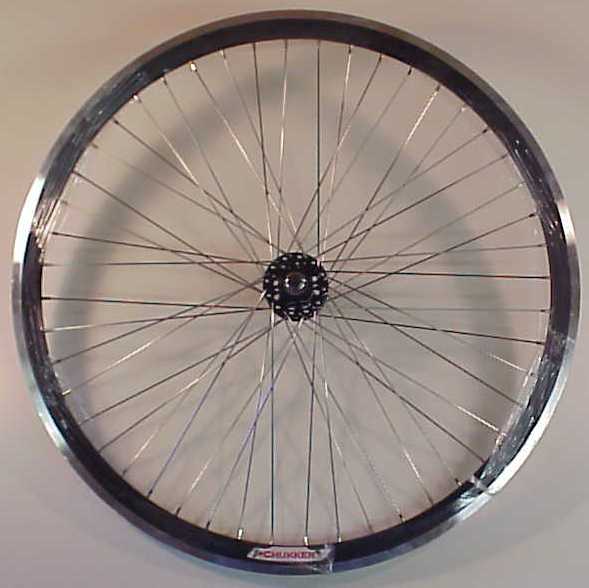 700x28 freewheel/track rear wheel